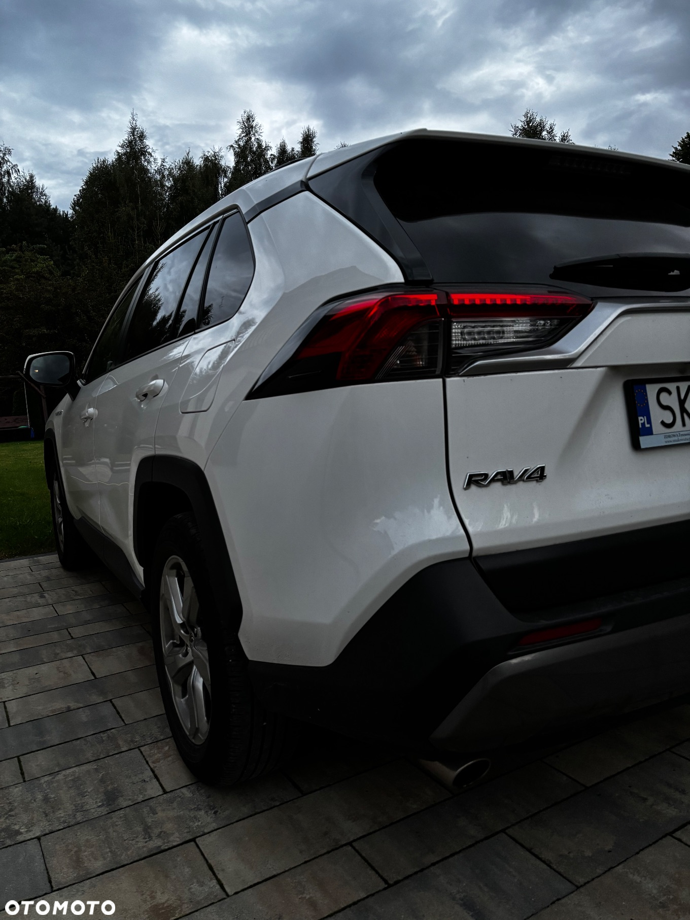 Toyota RAV4 2.5 Hybrid Comfort 4x2 - 6