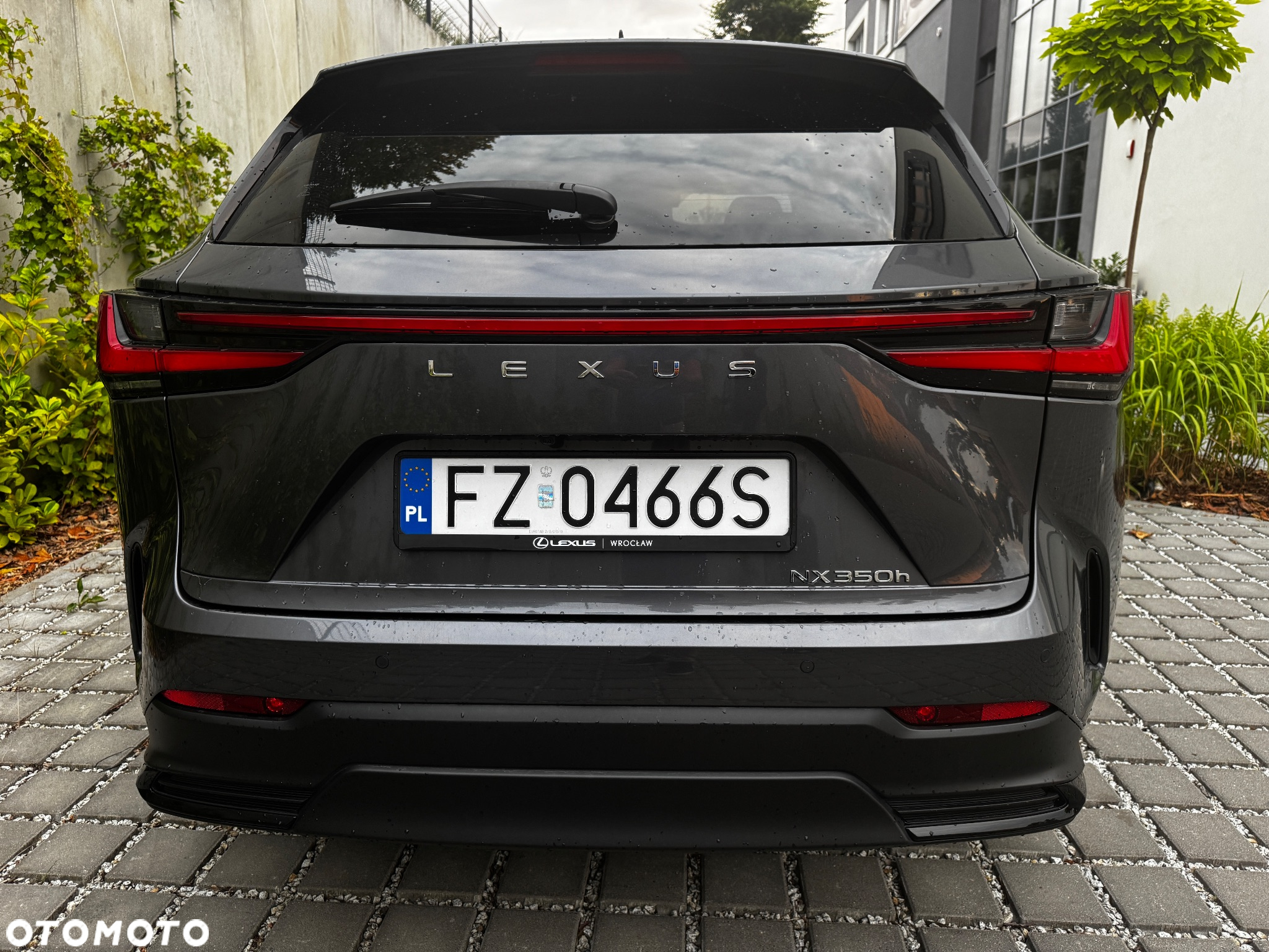 Lexus NX - 5