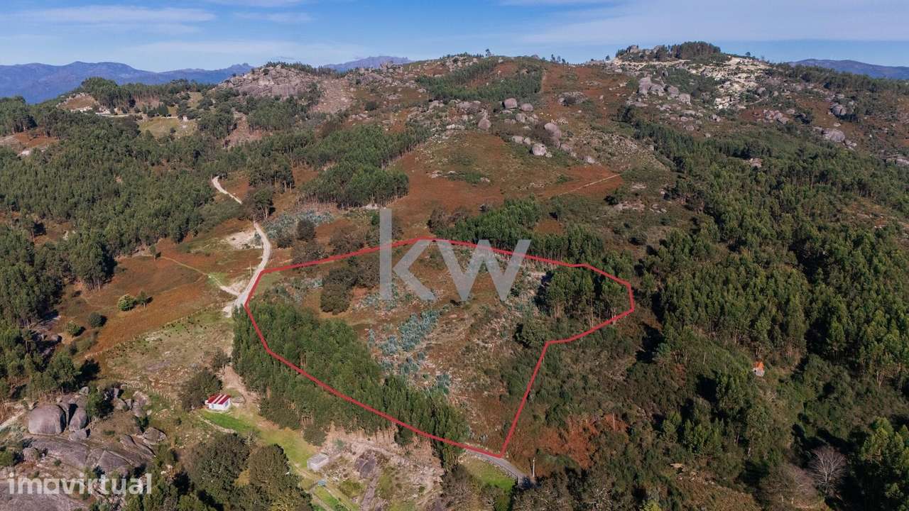 Terreno com viabilidade construtiva próximo do Gerês - Grande imagem: 2/28