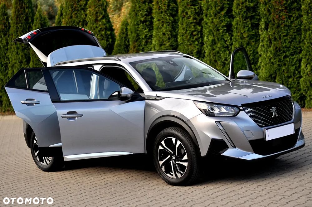 Peugeot 2008 1.5 BlueHDi Allure Pack S&S - 17