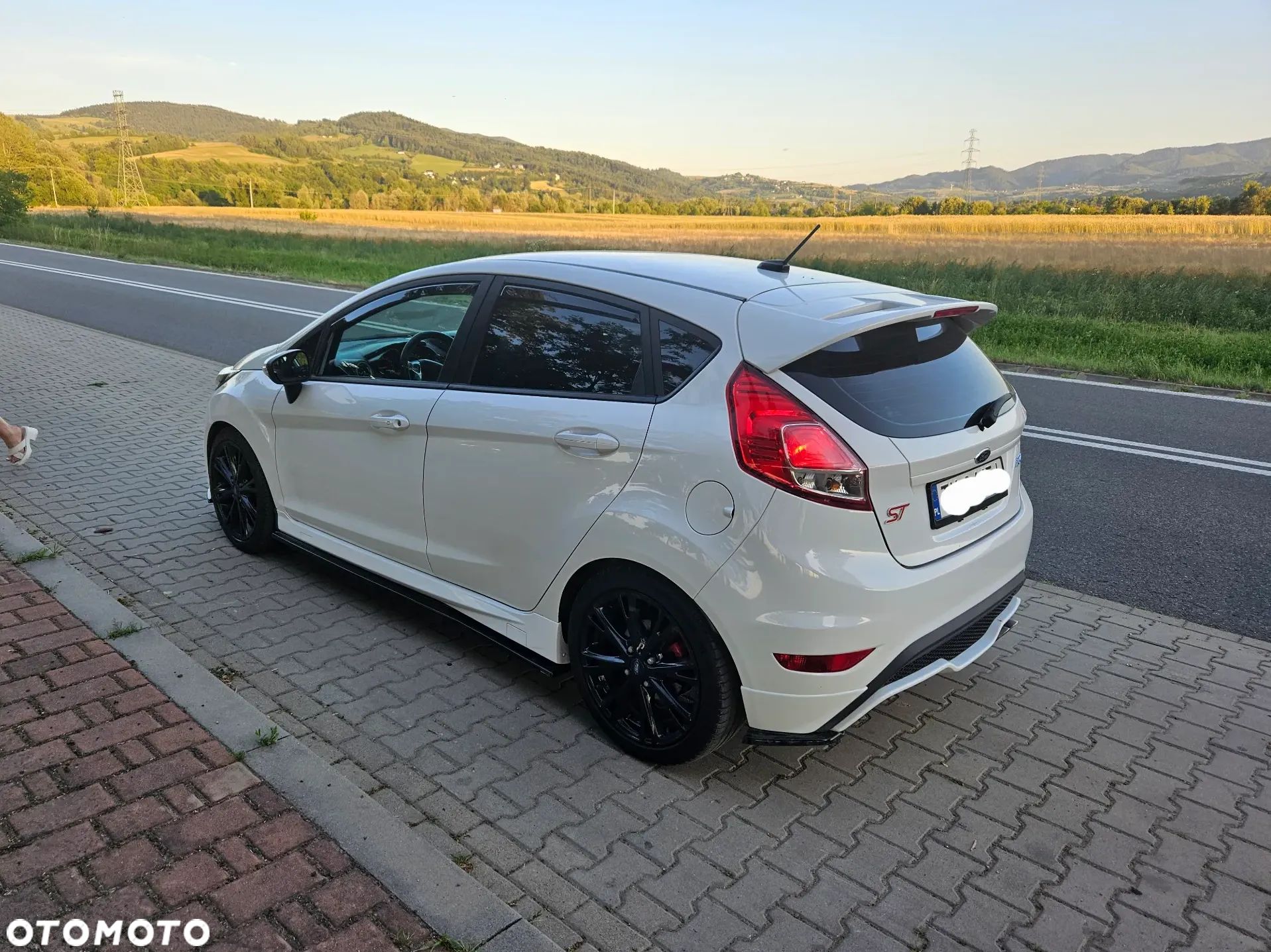 Ford Fiesta 1.6 EcoBoost ST - 1