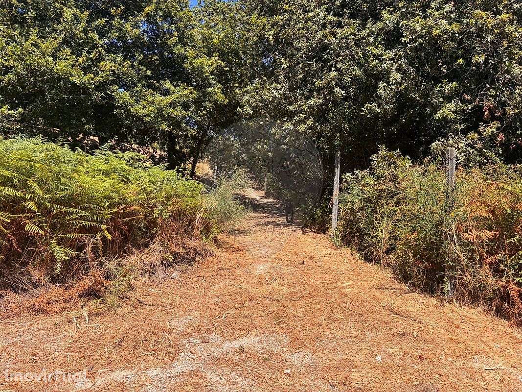 Terreno  para venda - Grande imagem: 4/16