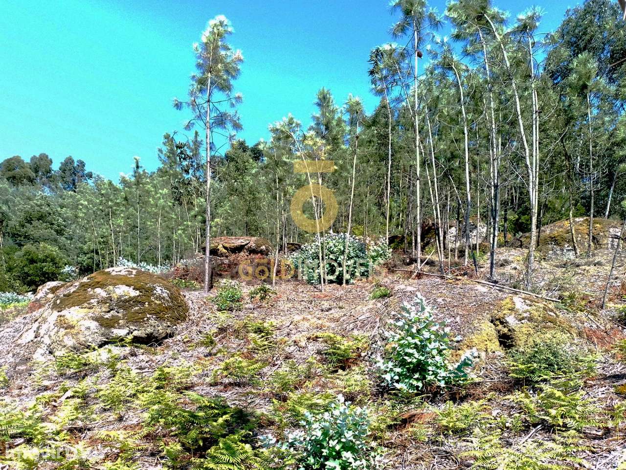 Terreno Rústico - Grande imagem: 5/10