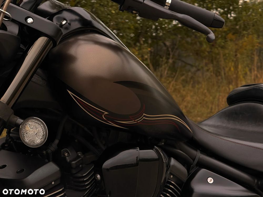 Yamaha Raider - 16