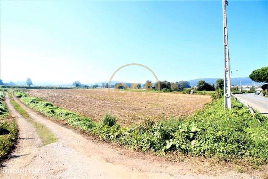 Terreno Agrícola no Louro - Grande imagem: 5/7