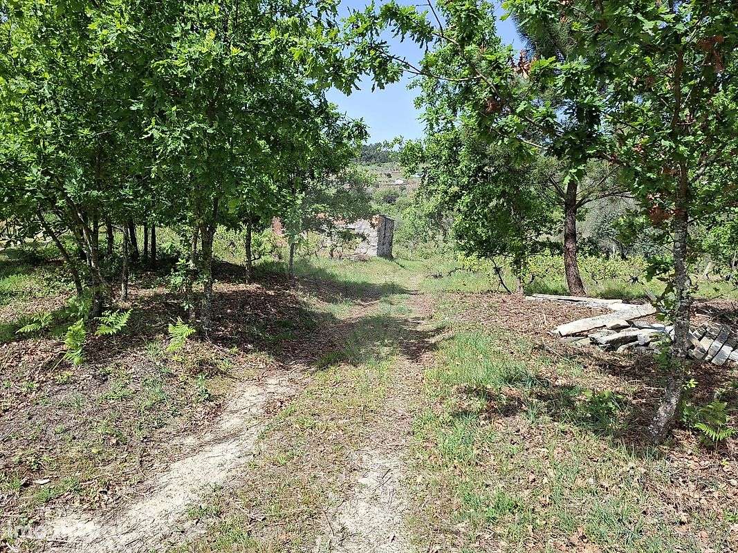 Terreno  para venda - Grande imagem: 5/6