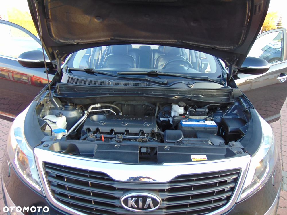 Kia Sportage - 32