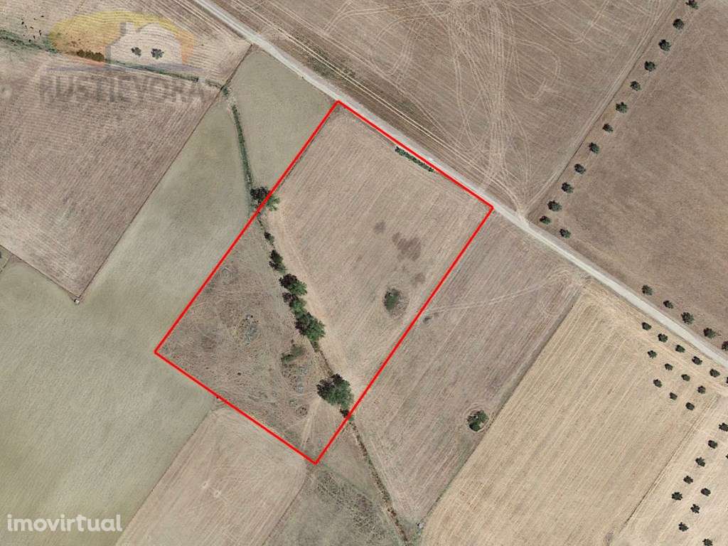 Terreno agrícola com 1,4125 ha a 15 minutos de Évora - Grande imagem: 4/13