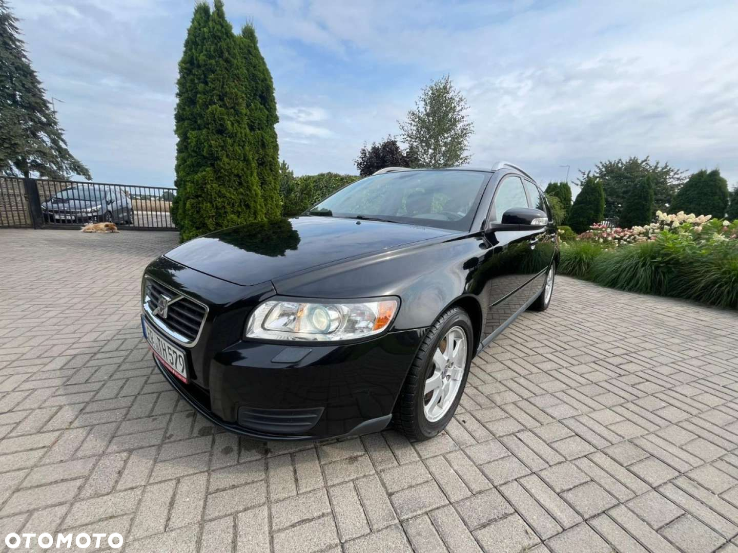 Volvo V50 - 6