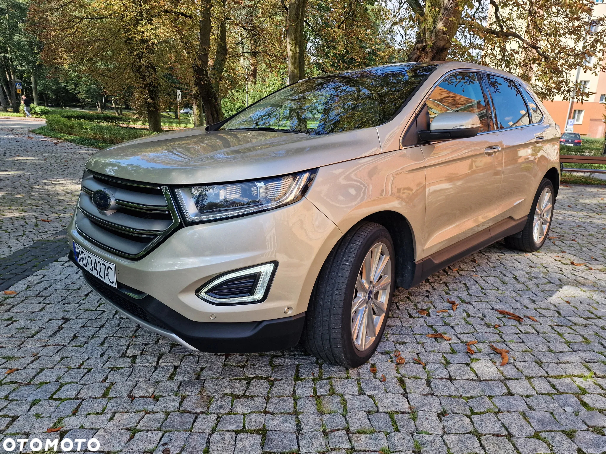Ford Edge - 7
