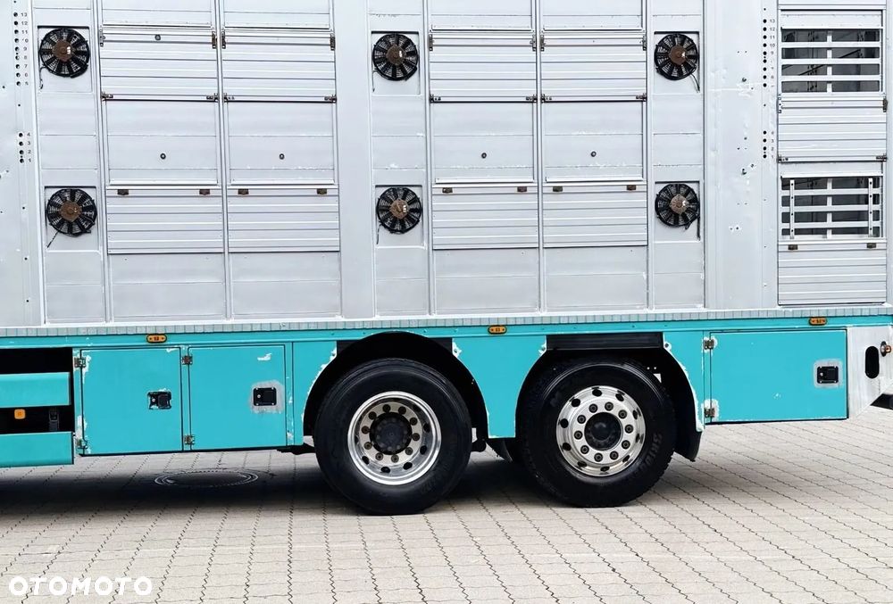 MAN TGX 26.640 D38 6x2 | 3 POZIOMY | TRANSPORT ZWIERZĄT | 640 KM | RETARDER | 2019 - 10