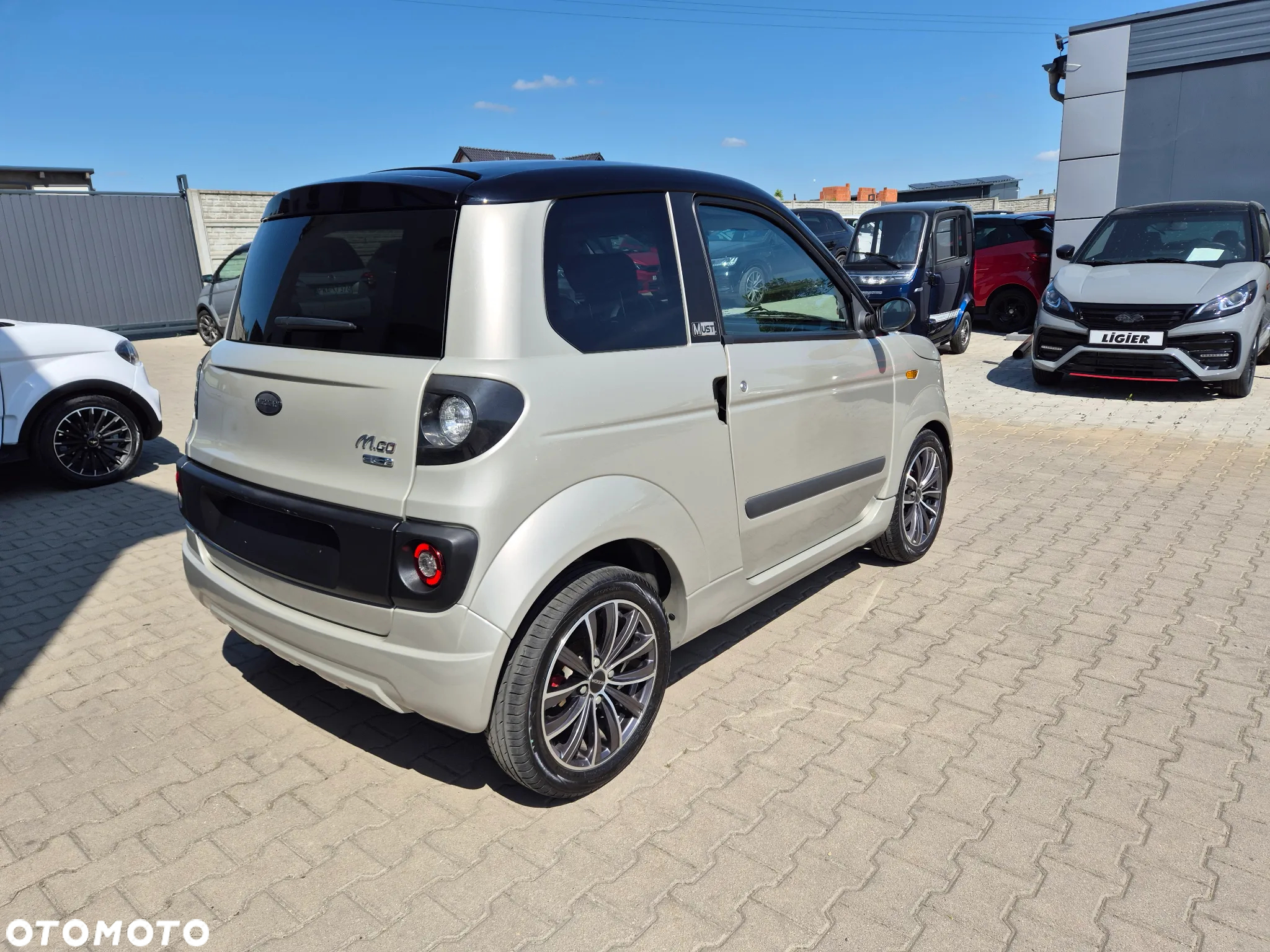 Microcar M.GO - 9