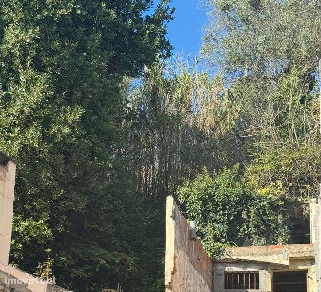 Casa Antiga em Souselas - Grande imagem: 5/6