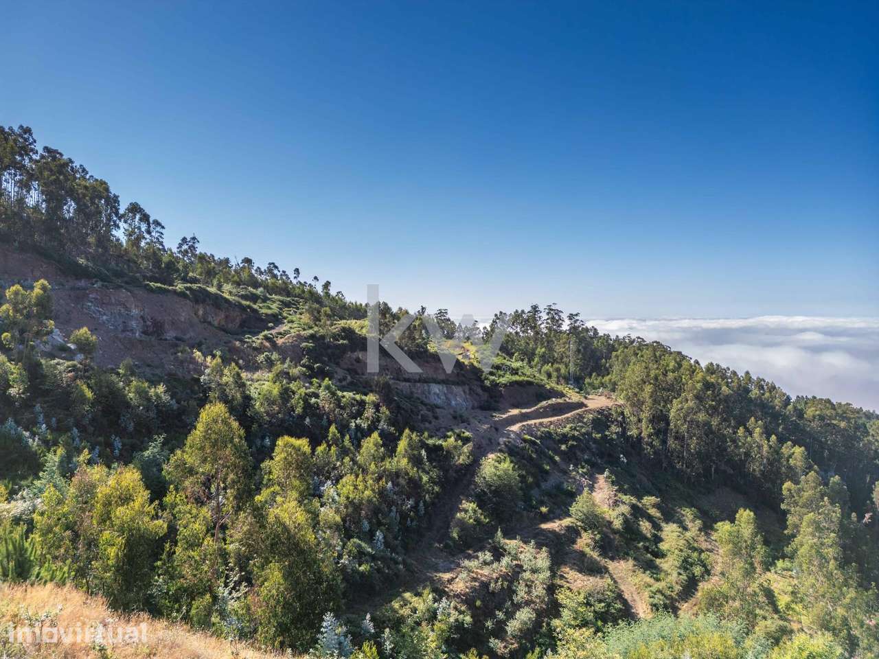 LAND | 23.260 M2| JARDIM DA SERRA | CÂMARA DE LOBOS | ILHA DA MADEIRA - Grande imagem: 5/17