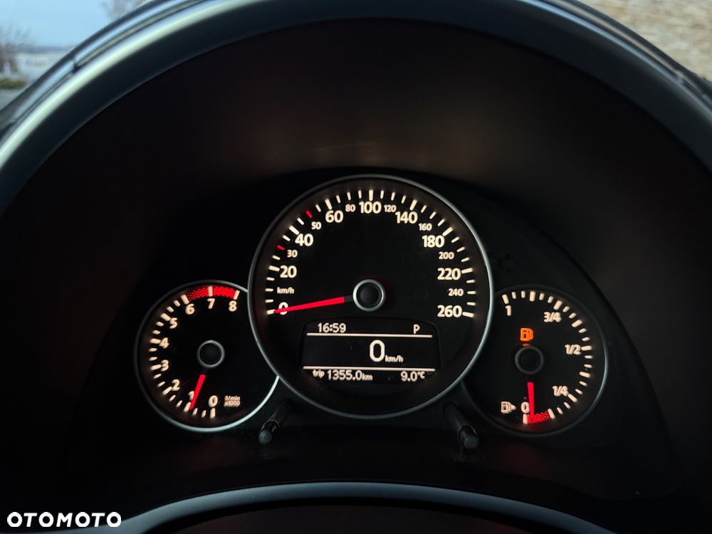 Volkswagen Beetle - 14