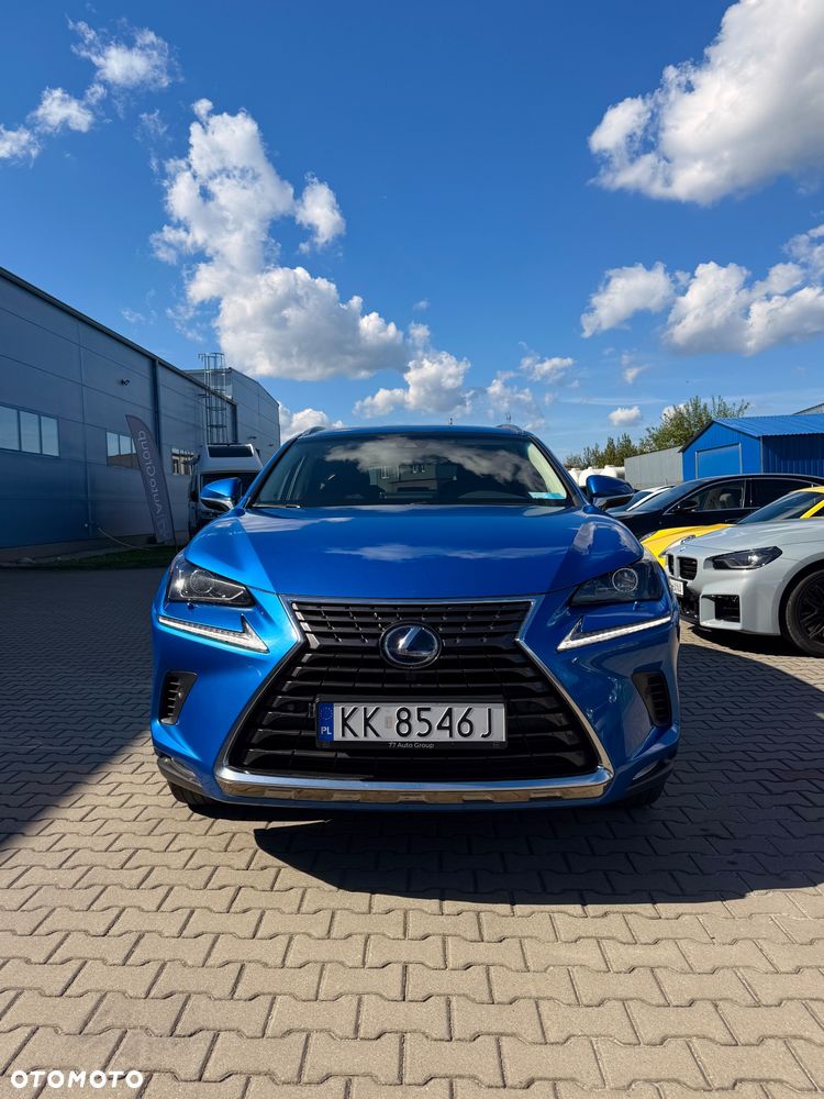 Lexus NX 300h E-FOUR Executive Line - 7