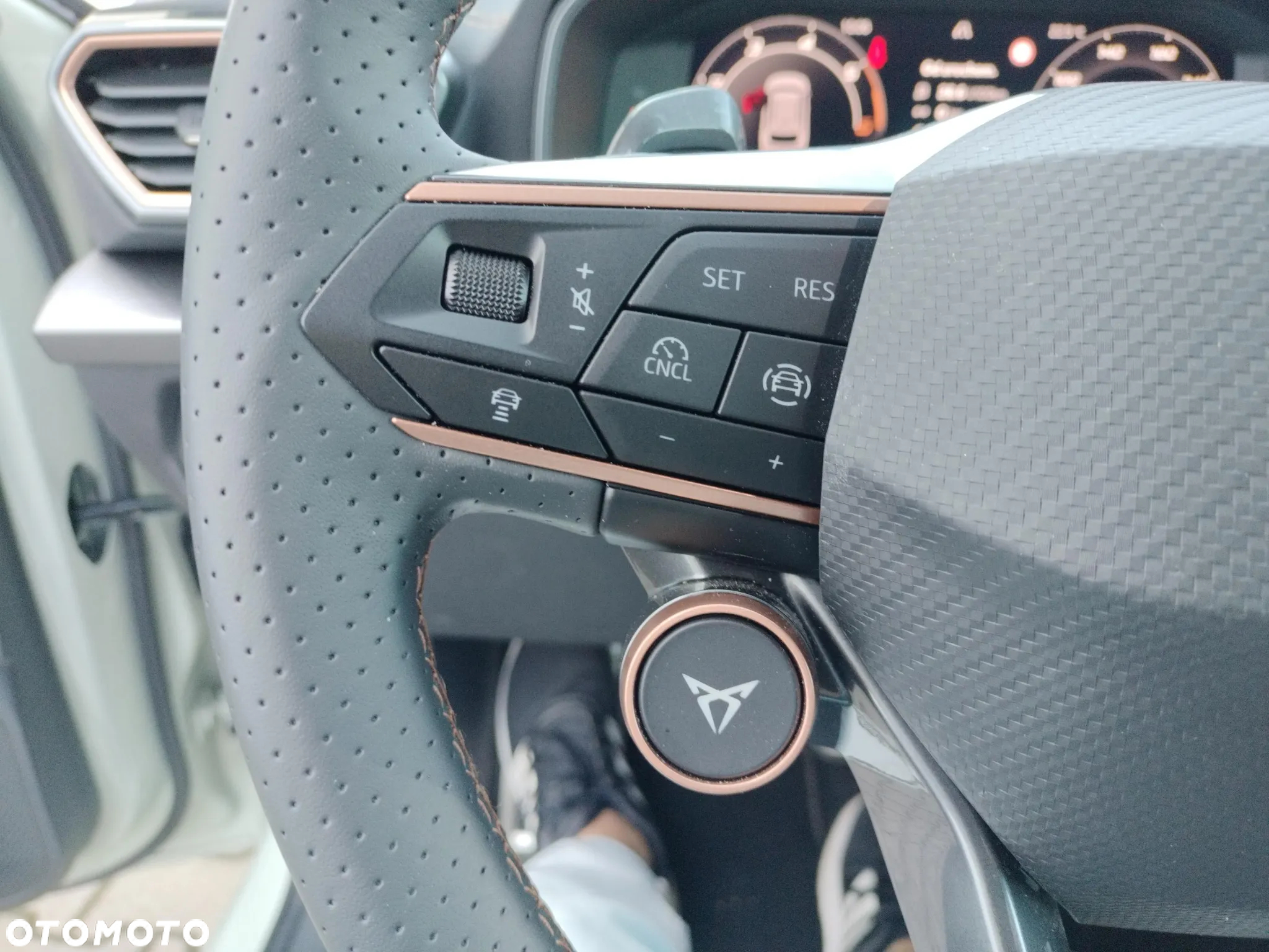 Cupra Leon 2.0 TDI DSG - 25