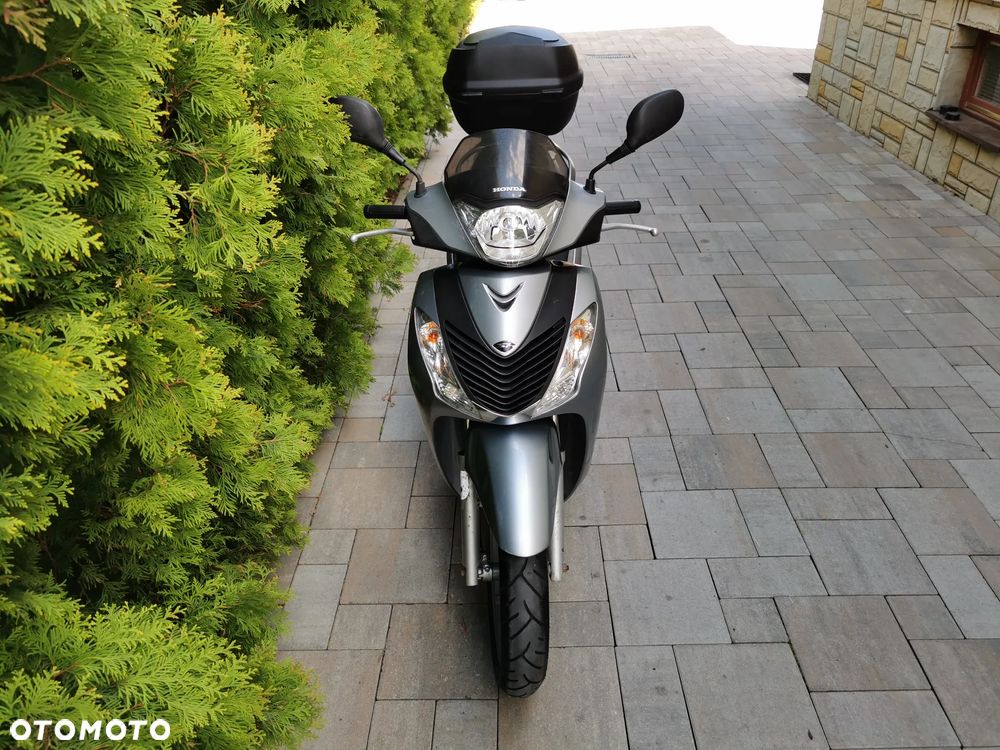 Honda SH - 7
