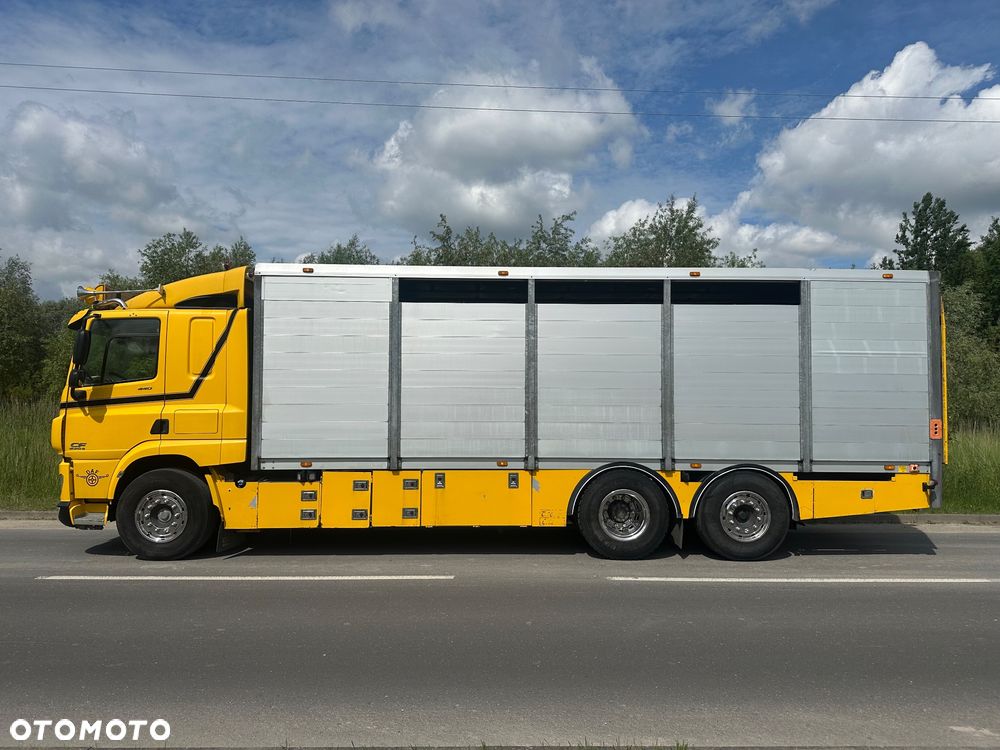 DAF CF 440  DO BYDLA -ZWIERZAT -ZYWCA - 5