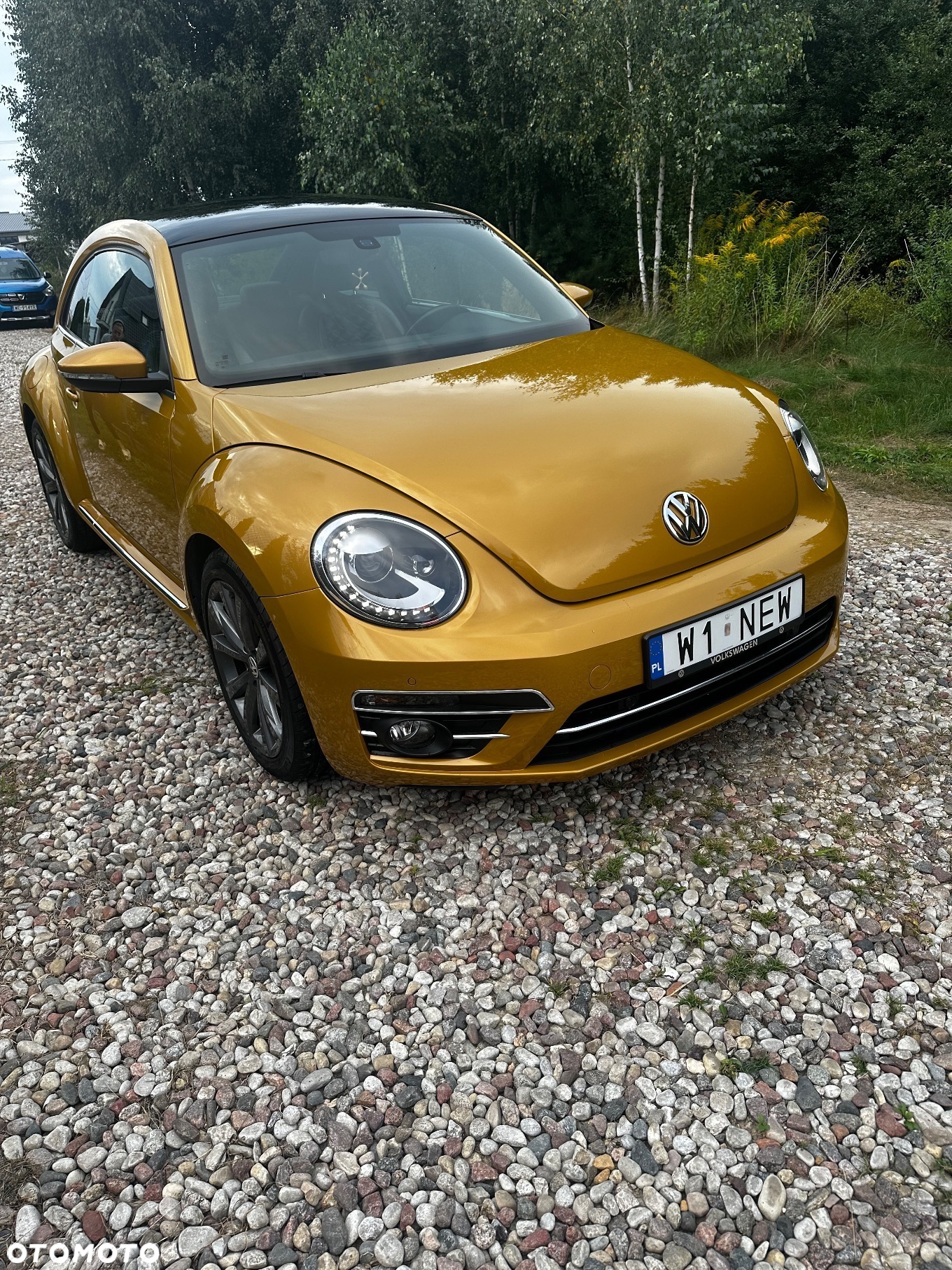 Volkswagen Beetle - 13