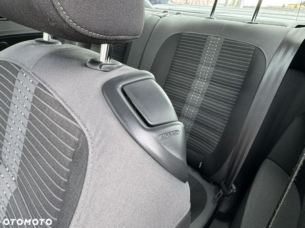 Volkswagen Beetle - 23