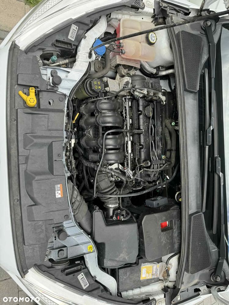 Ford Focus 1.6 Trend - 14