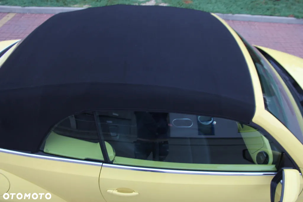 Volkswagen Beetle - 8