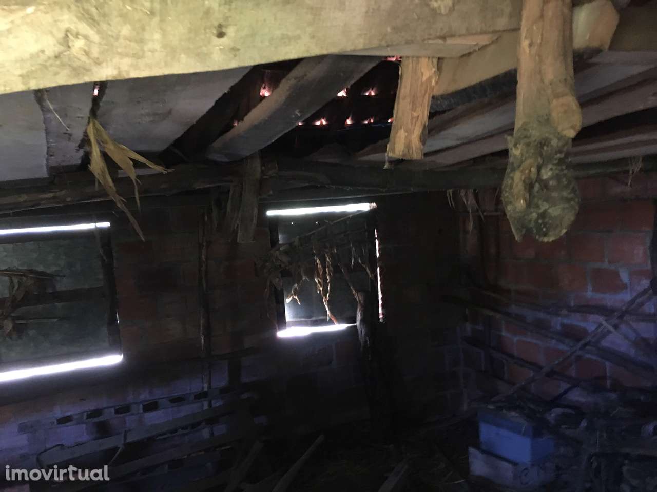 Moradia com terreno na Serra da Arada, Candal - Grande imagem: 2/18