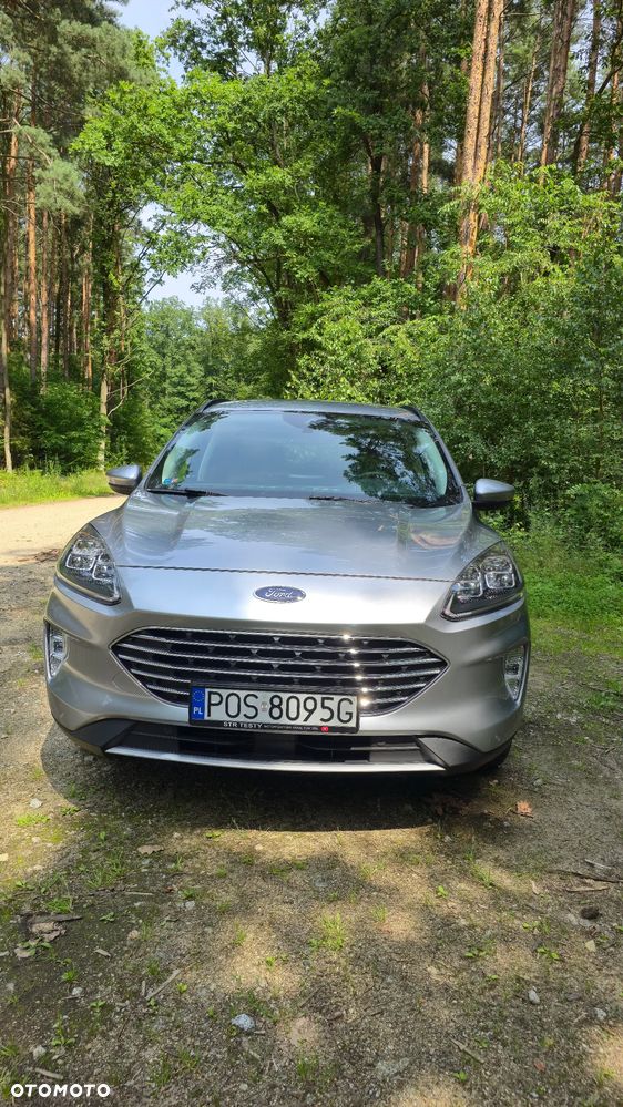 Ford Escape - 3