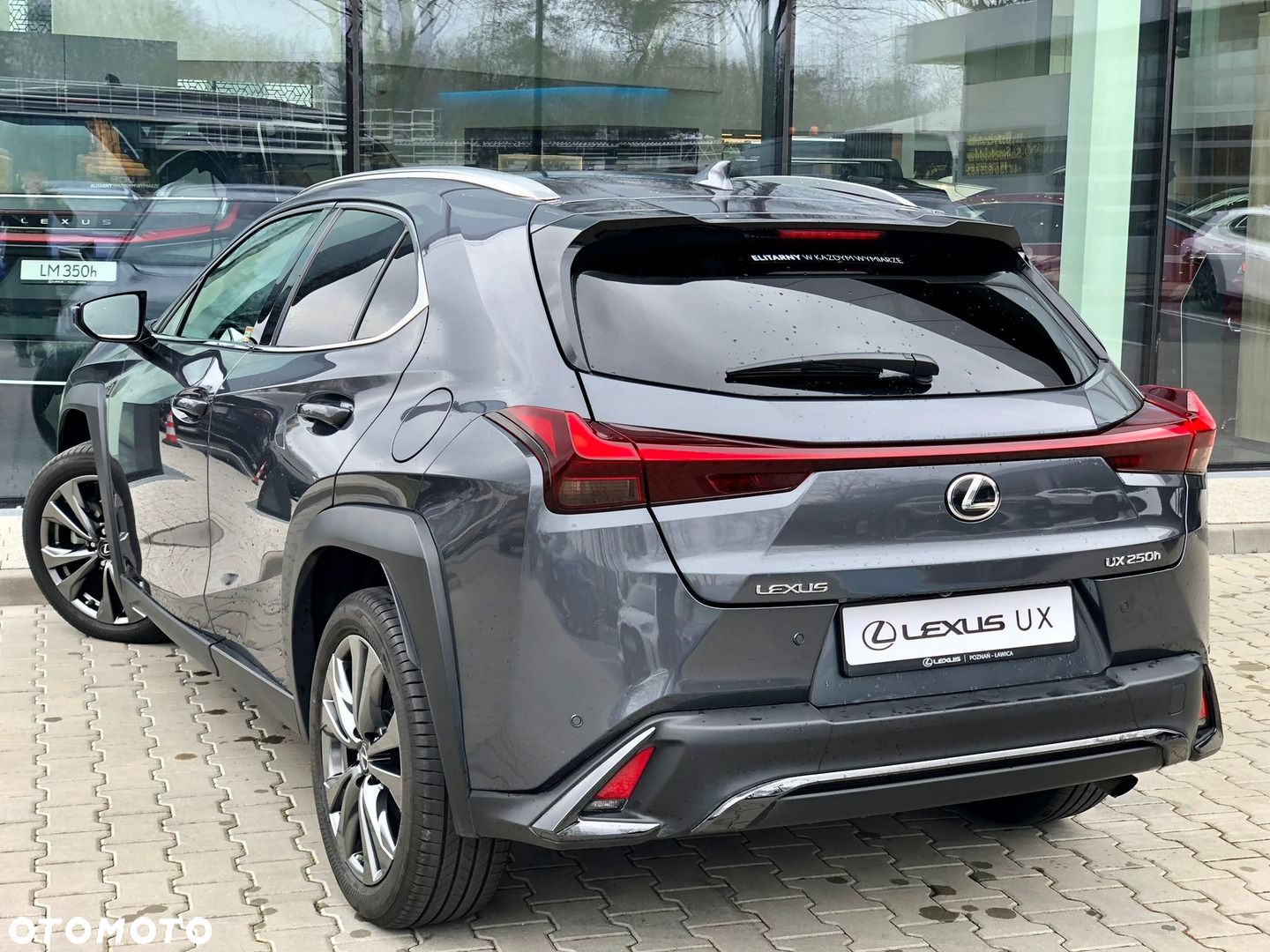 Lexus UX - 9