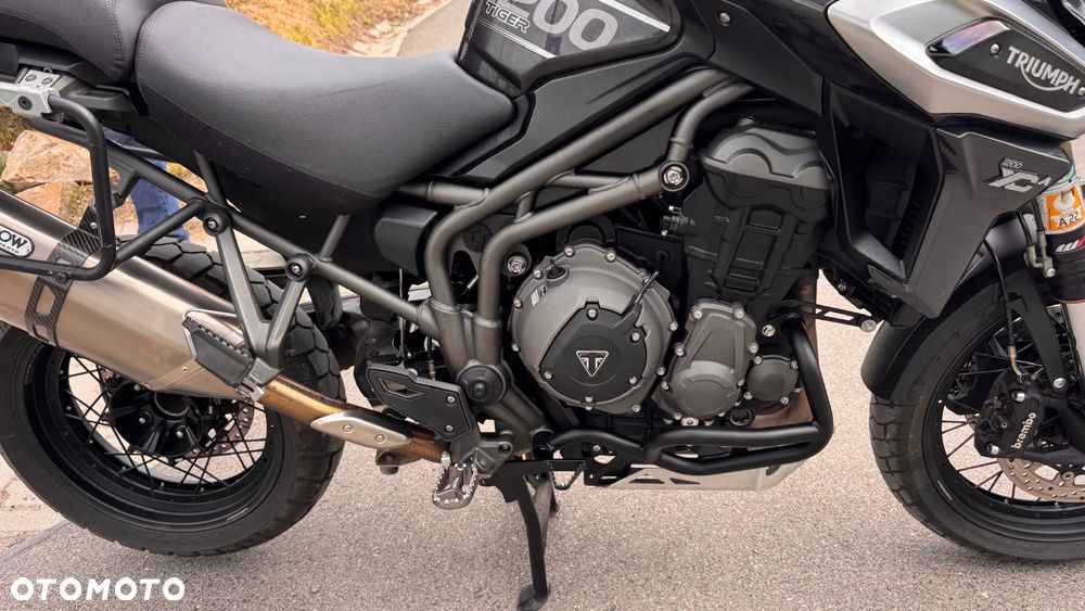 Triumph Tiger - 17