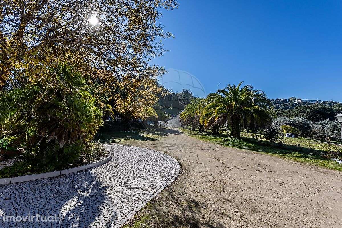 Quinta T5 para venda - Grande imagem: 4/35