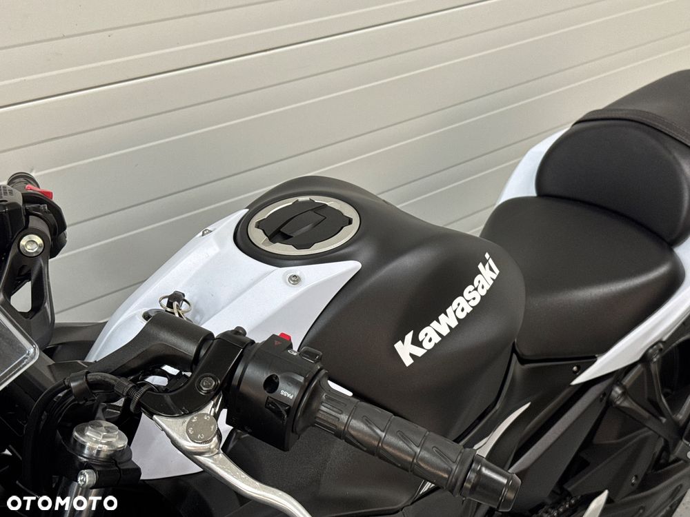 Kawasaki Ninja - 20