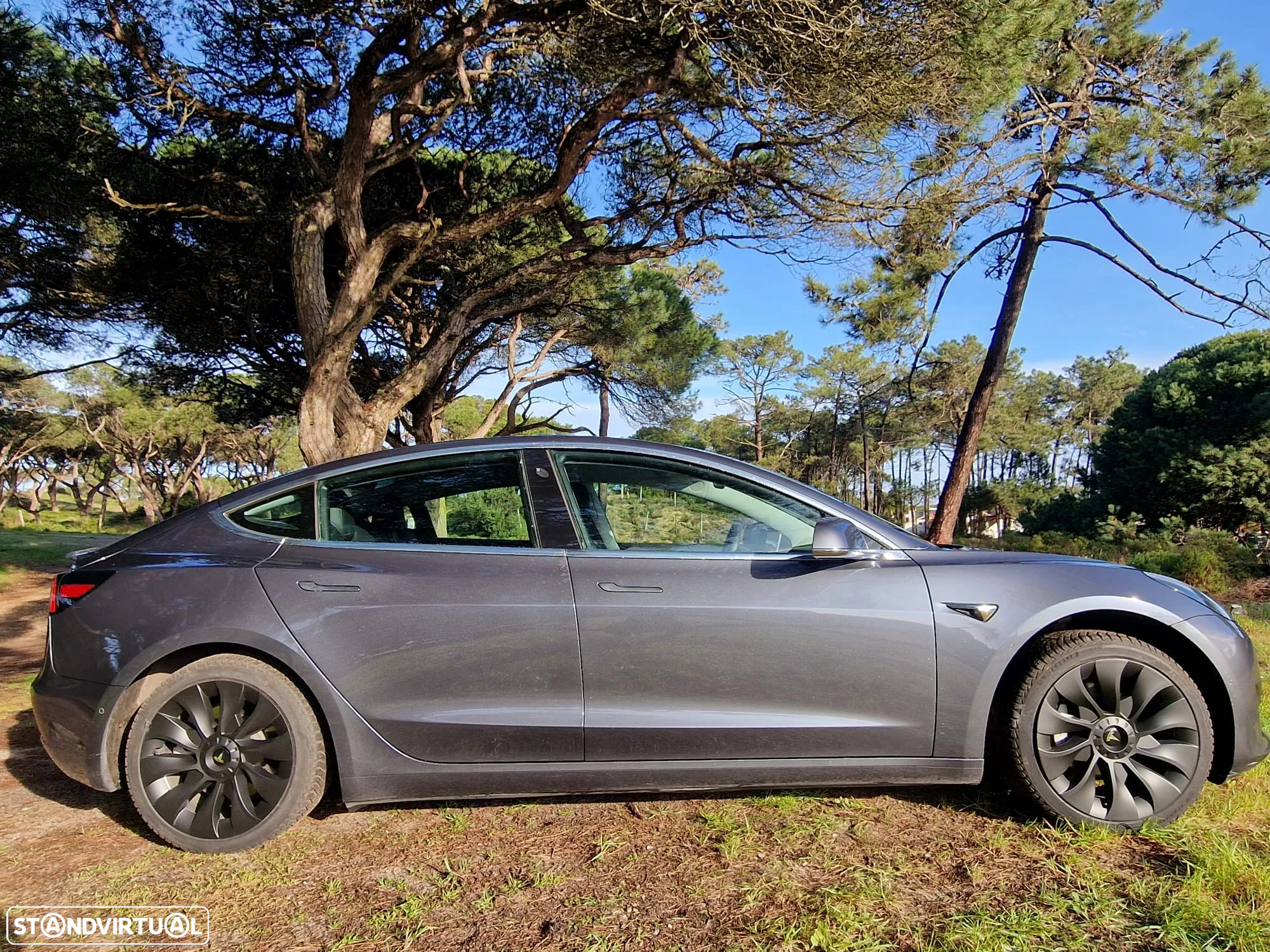 Tesla Model 3 Standard Range Plus RWD - 24