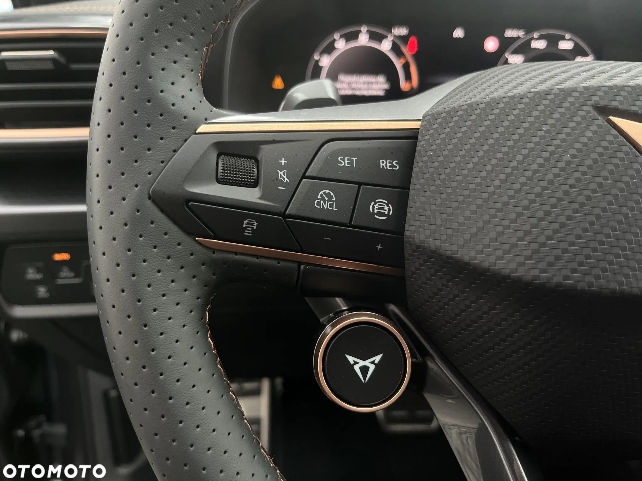 Cupra Formentor - 40