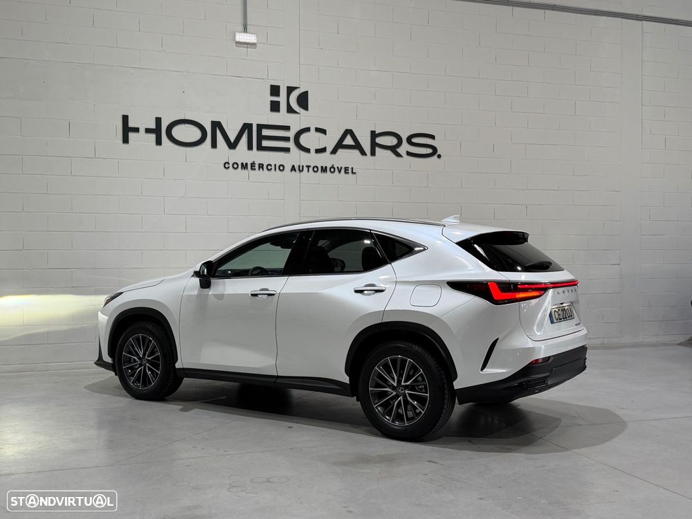 Lexus NX 450h+ Executive - 11