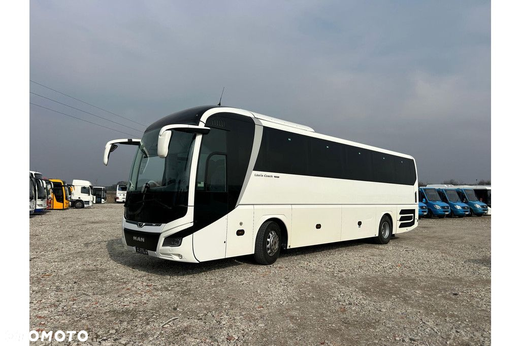 MAN Lions Coach - 21