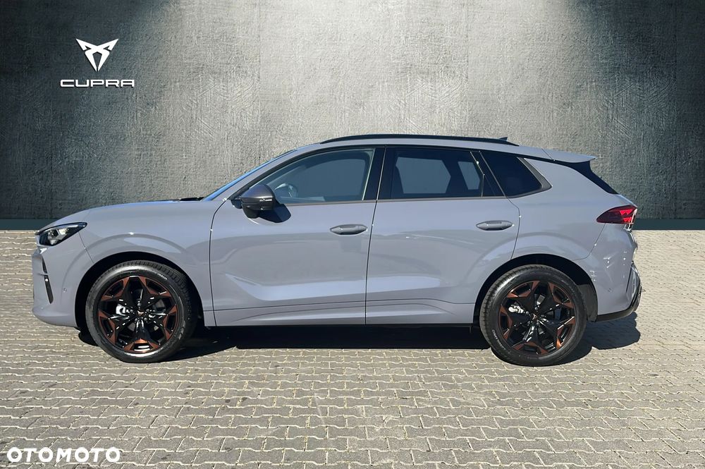 Cupra Terramar - 5