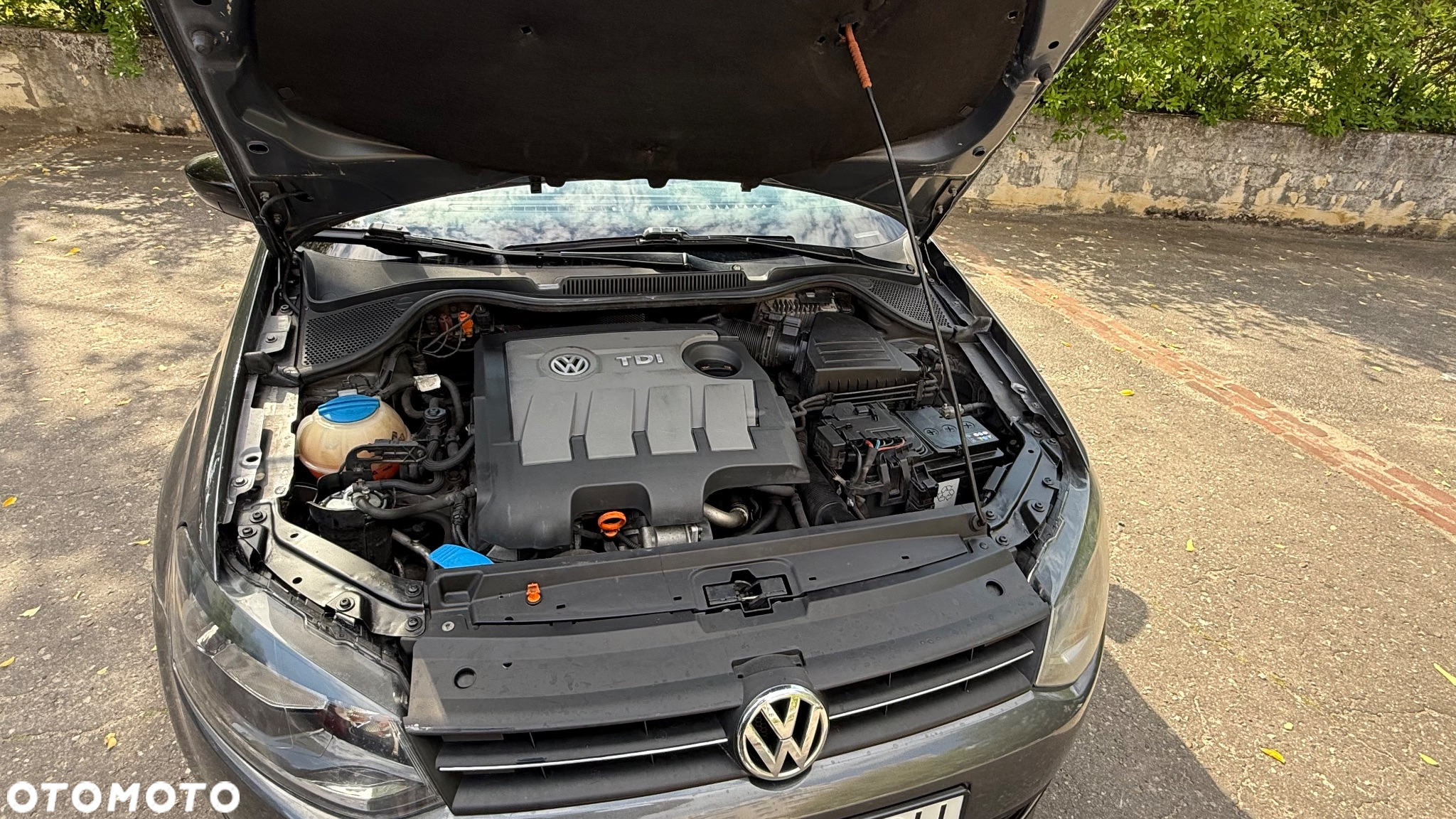 Volkswagen Polo - 12