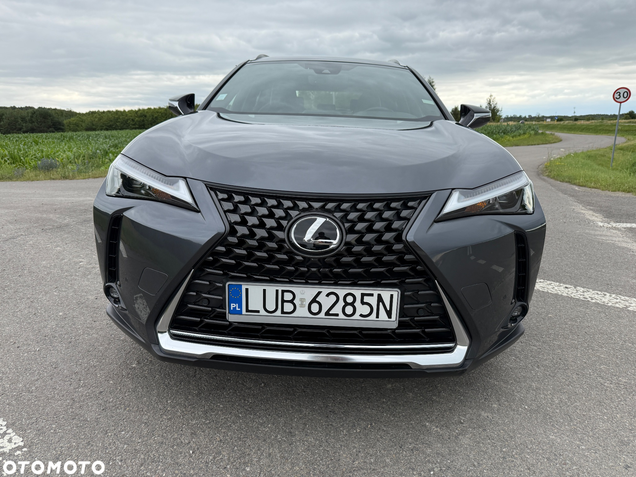 Lexus UX 250h GPF Business 2WD - 4