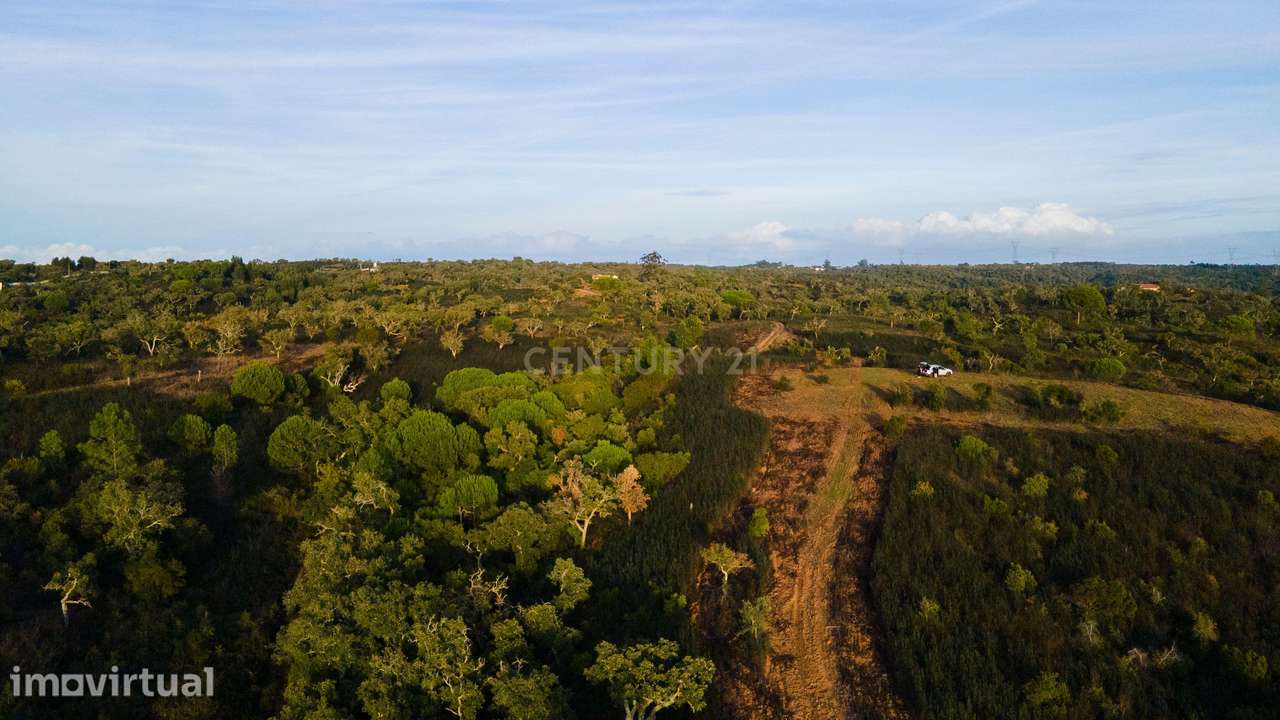 Terreno com vista mar Santa Cruz - Santiago do Cacém - Grande imagem: 3/8