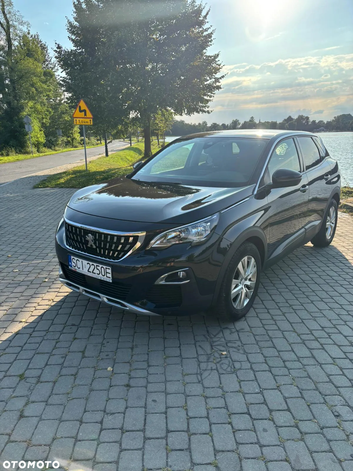Peugeot 3008 1.6 BlueHDi Active S&S - 14