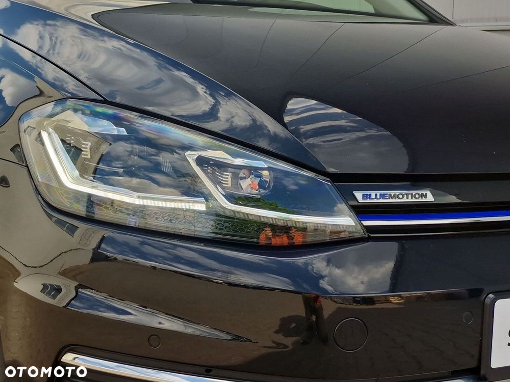 Volkswagen Golf - 29
