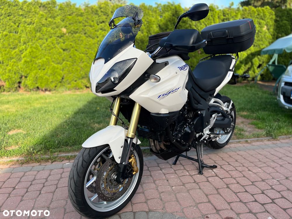 Triumph Tiger - 6