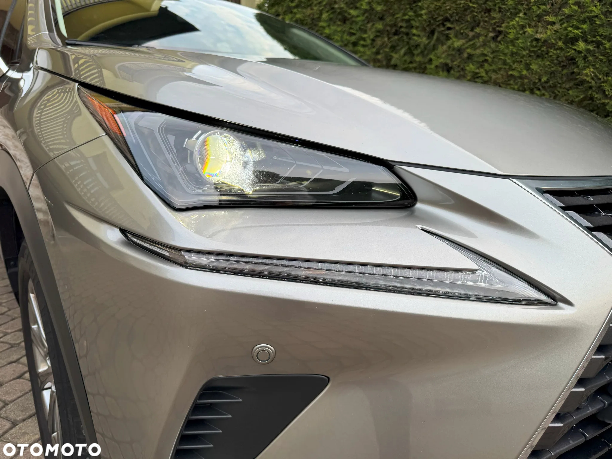 Lexus NX - 4