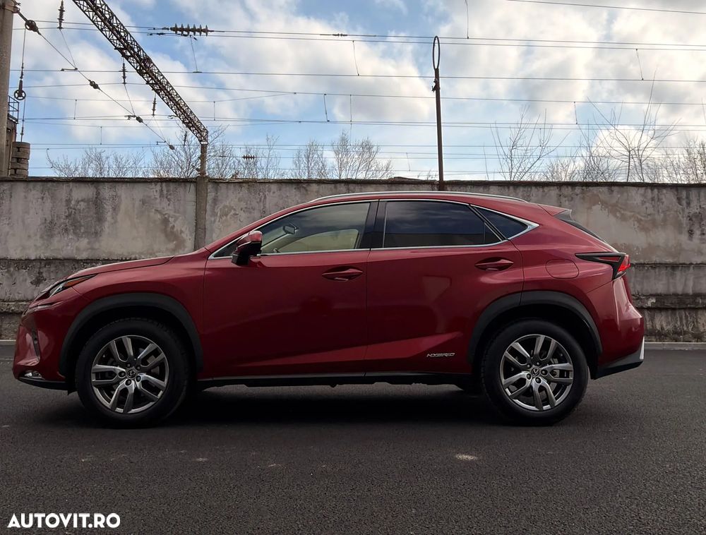 Lexus Seria NX - 7