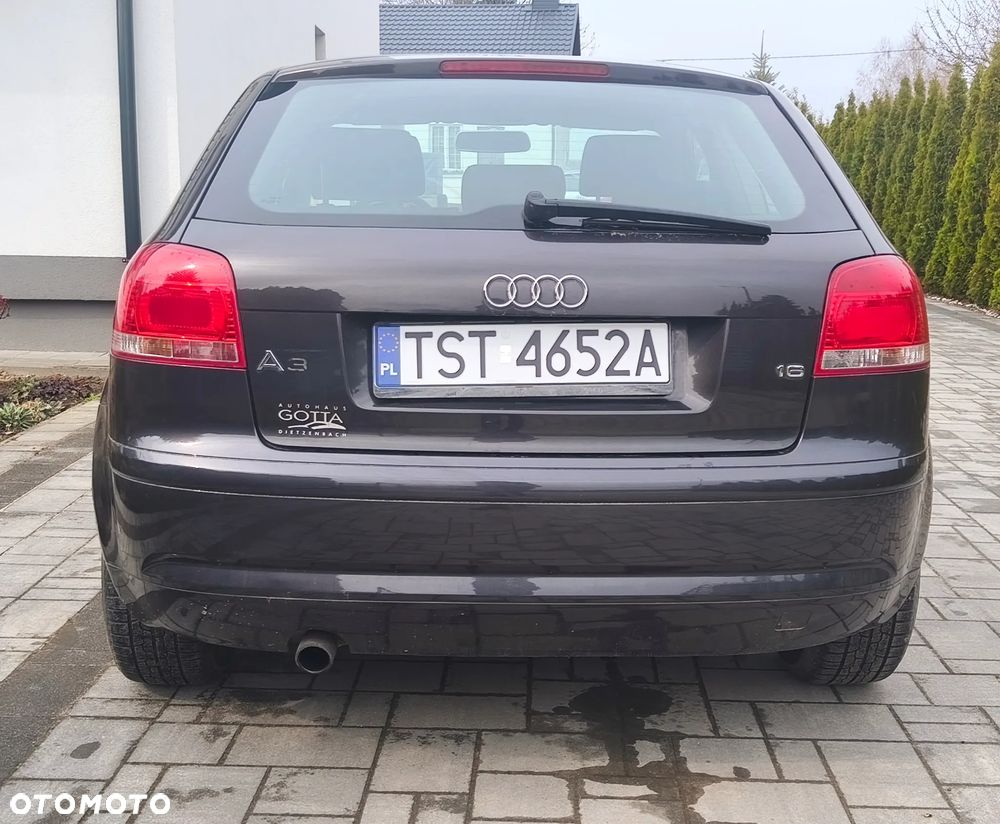 Audi A3 3-drzwiowe 1.6 Ambition - 6
