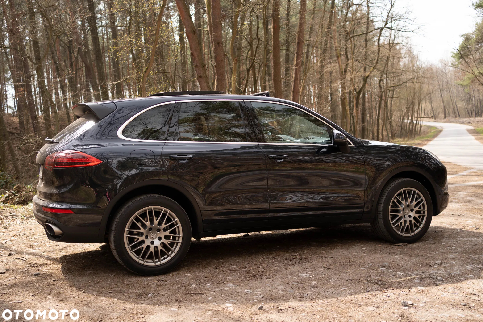 Porsche Cayenne Platinum Edition - 3