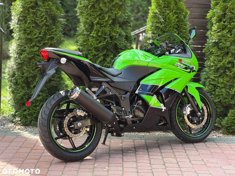 Kawasaki Ninja - 4