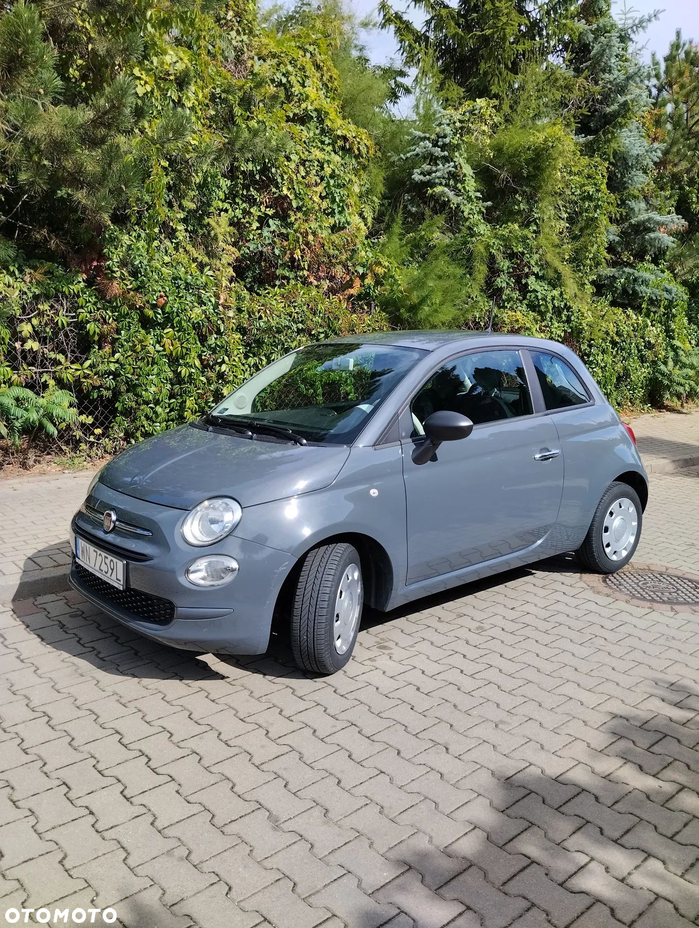 Fiat 500 - 1